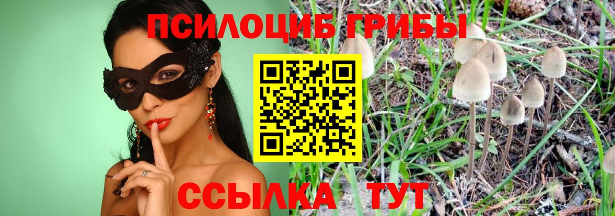 Галлюциногенные грибы Magic Shrooms Туапсе